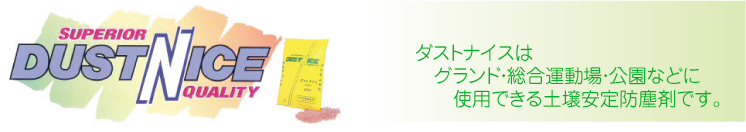 �_�X�g�i�C�X